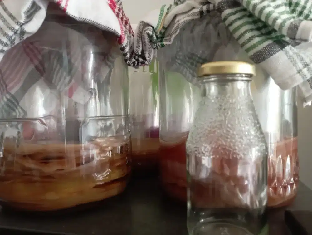 Scooby kombucha dan perlengkapan lain komplit