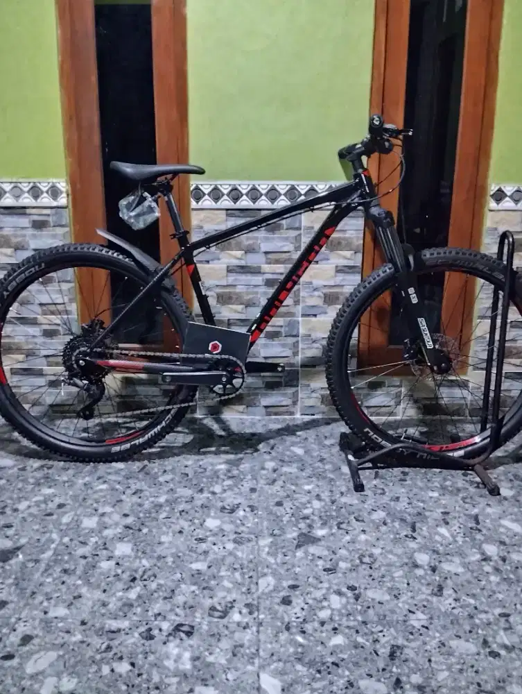 Polygon primer alpha