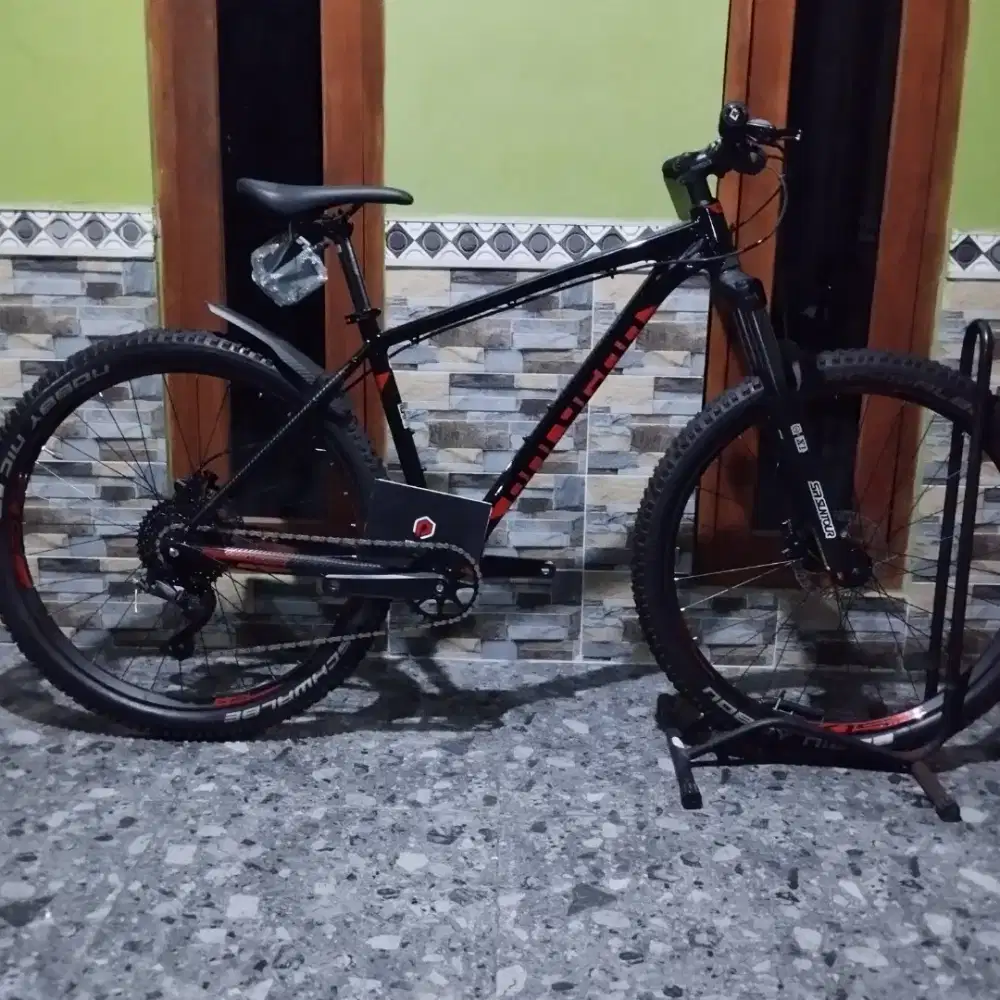 Polygon primer alpha