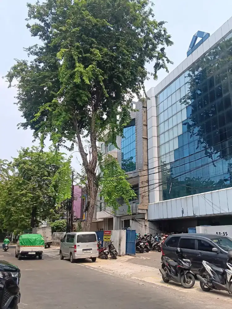 Jasa tebang pohon dan pembersihan lahan