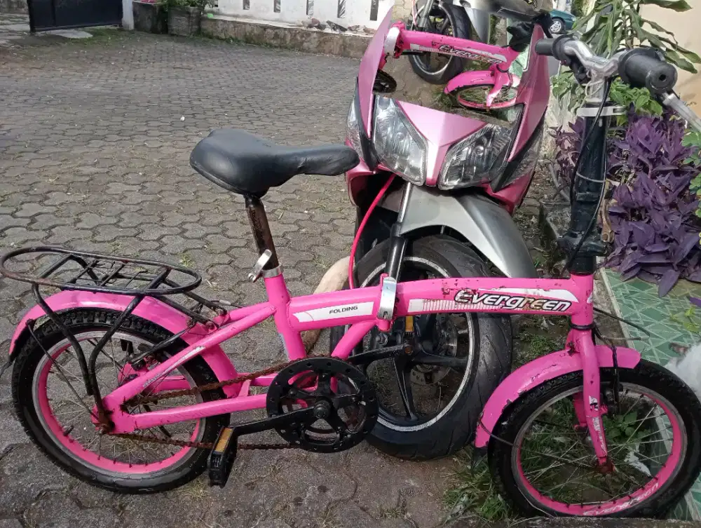 Jual Sepeda evergreen 16 inch