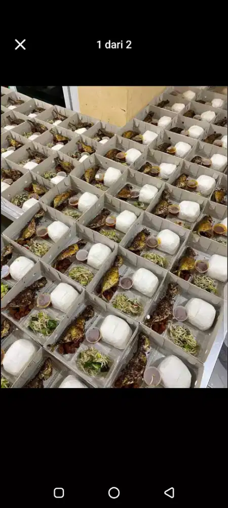 Catering & nasi box