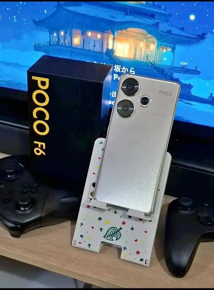 Pocophone F6 12/513