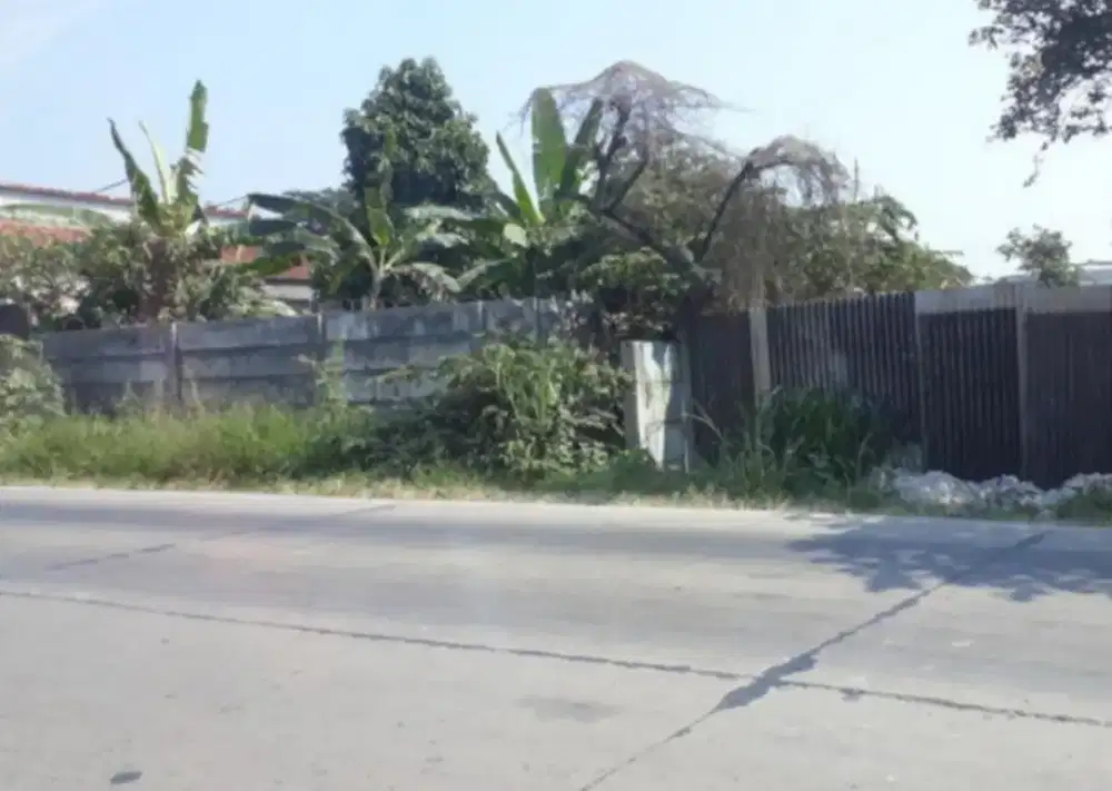 Dijual Tanah di Jalan Raya Cisauk