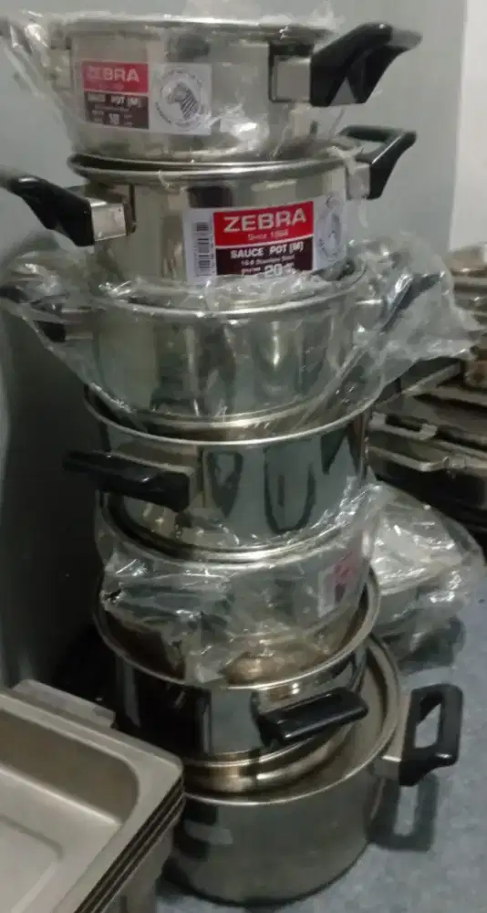 Panci zebra thailand