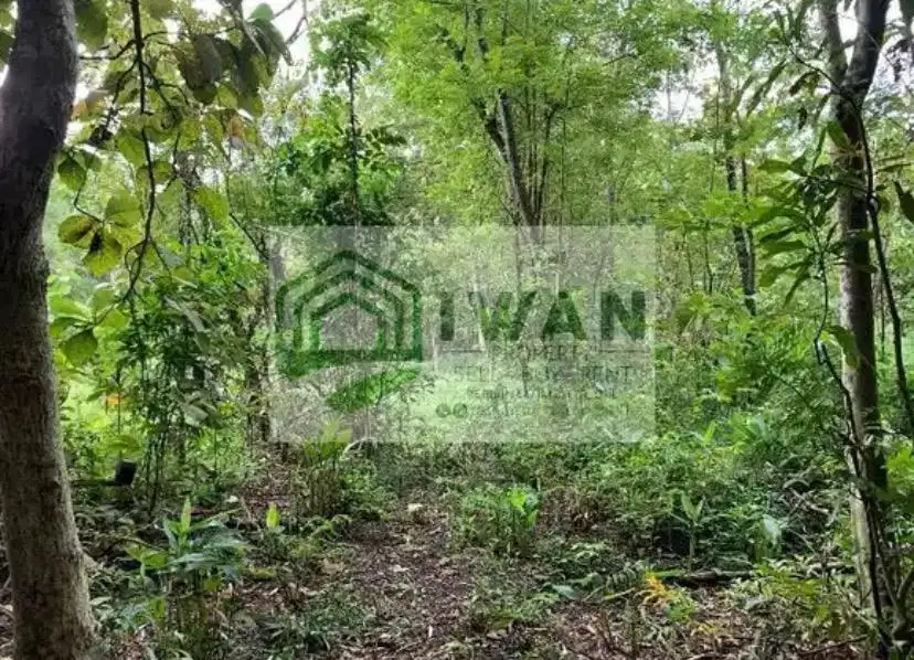 Tanah Luas & Murah Ada Sungainya