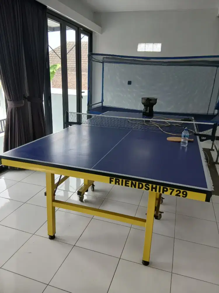 Meja pingpong friendship 729