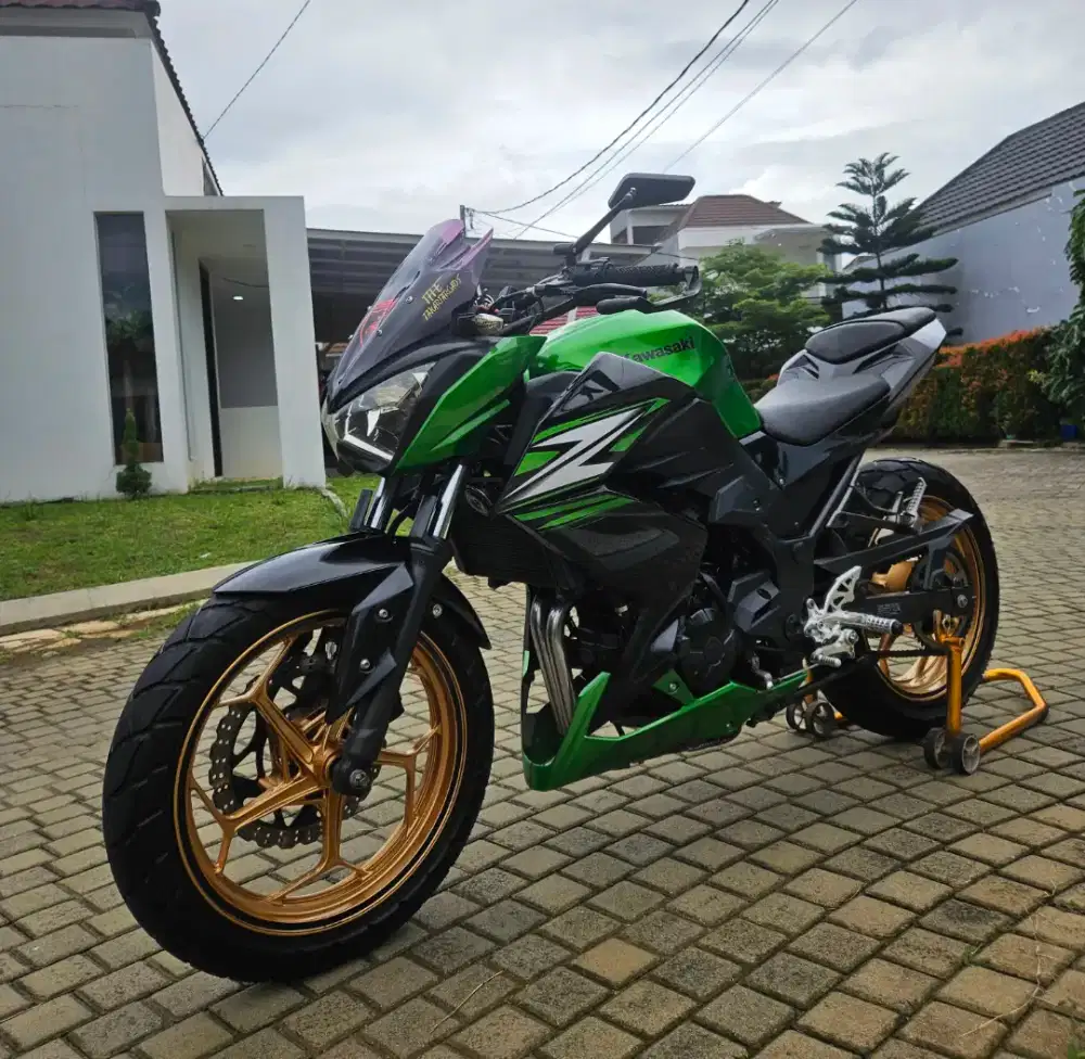 Kawasaki Ninja Z250 Istimewa