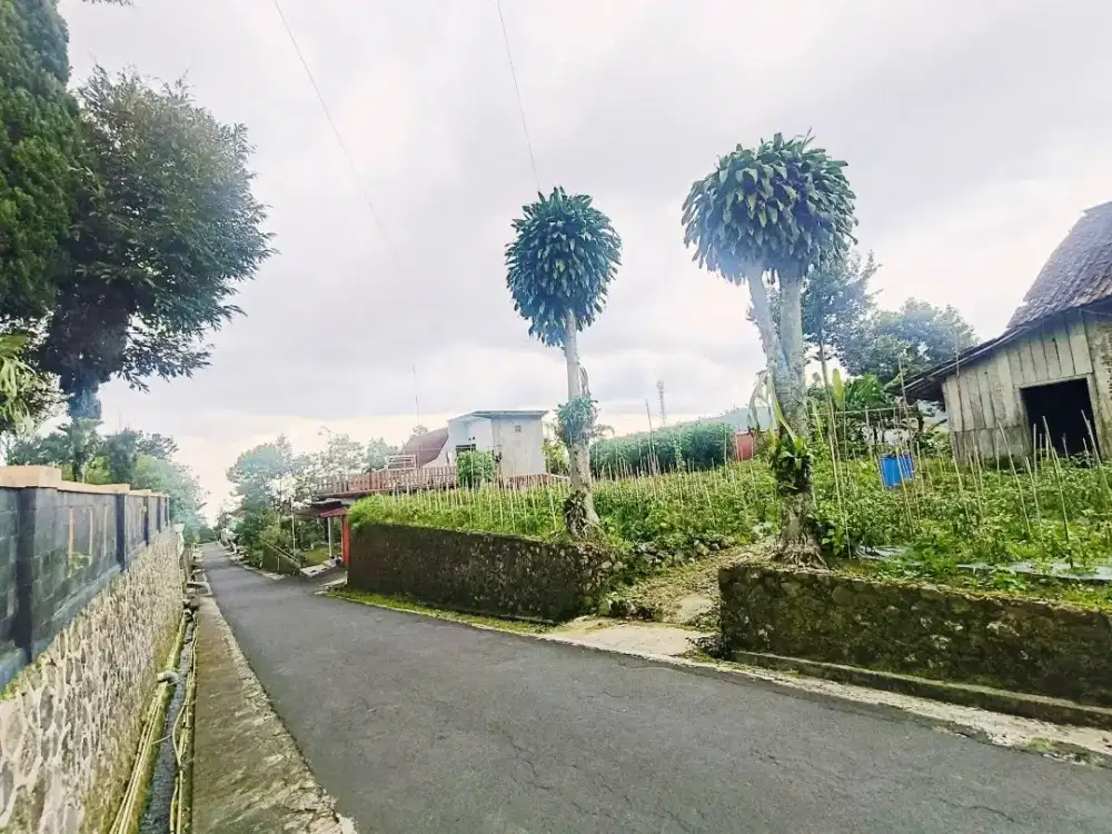 Tanah Pekarangan Kemuning Ngargoyoso Karanganyar