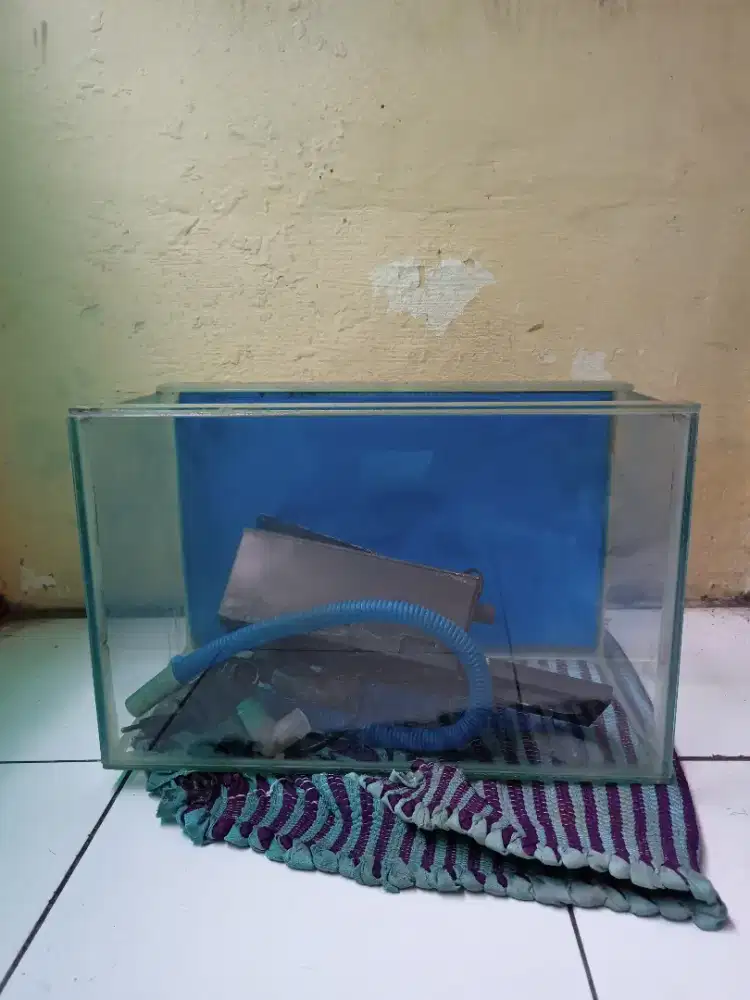 Aquarium ikan ikan