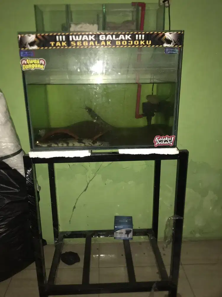 Aquarium fullset dan rak