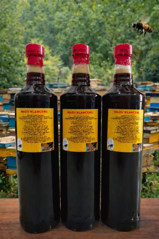 Madu Klanceng dan Madu Randu