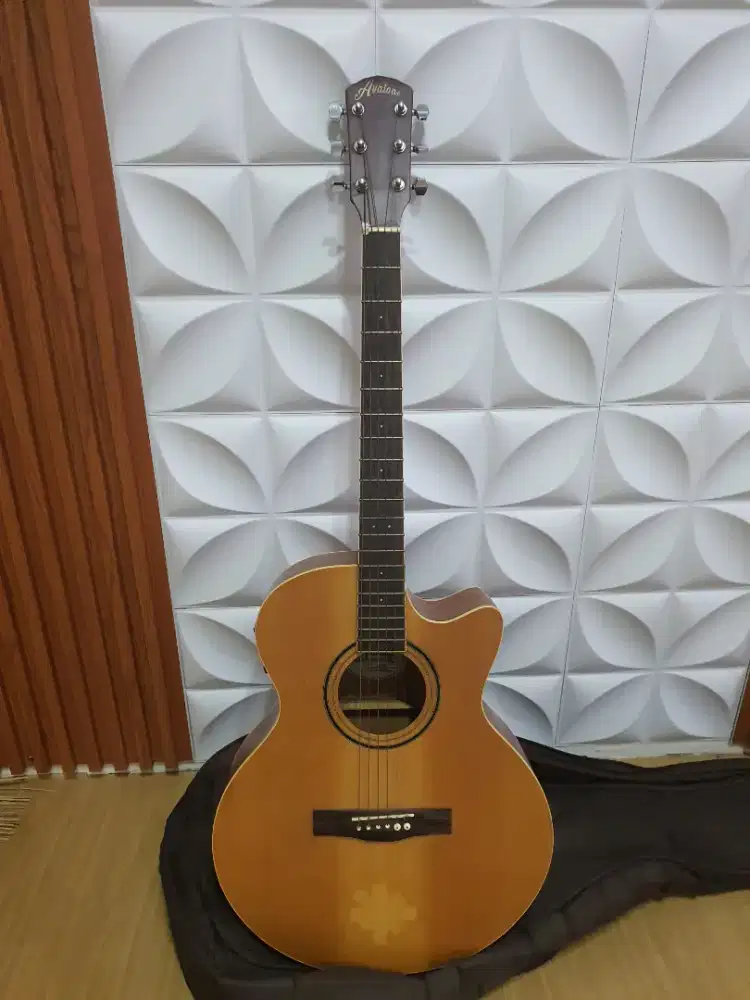 Gitar akustik AVALONE
