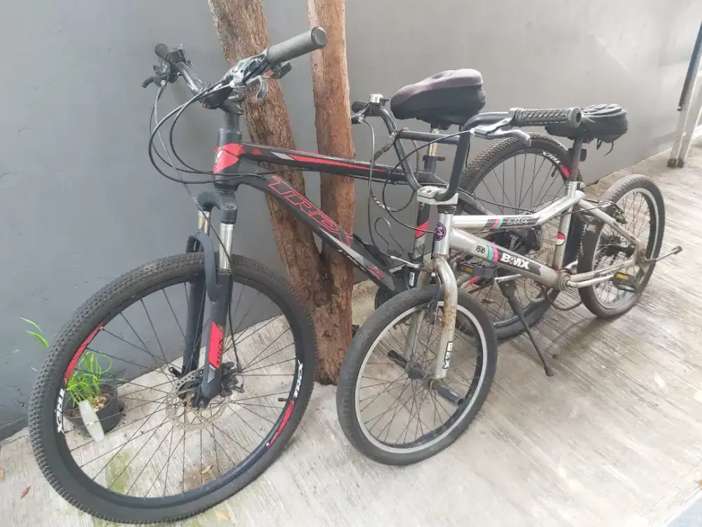 Sepeda sepasang, jual murah aja