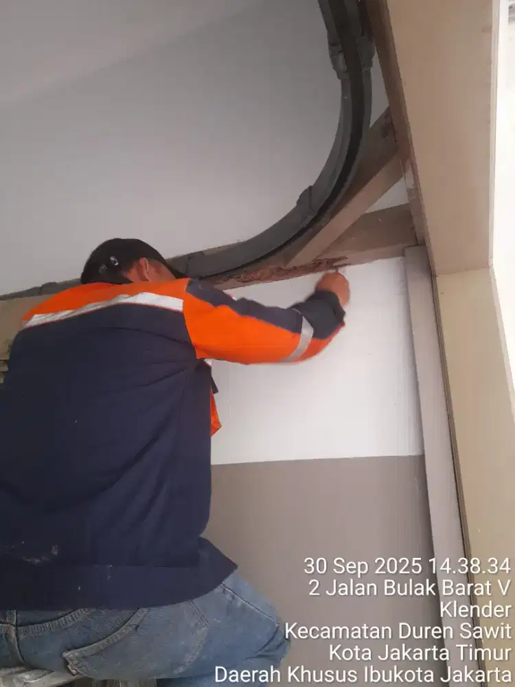 Jasa pembasmi hama / pest control