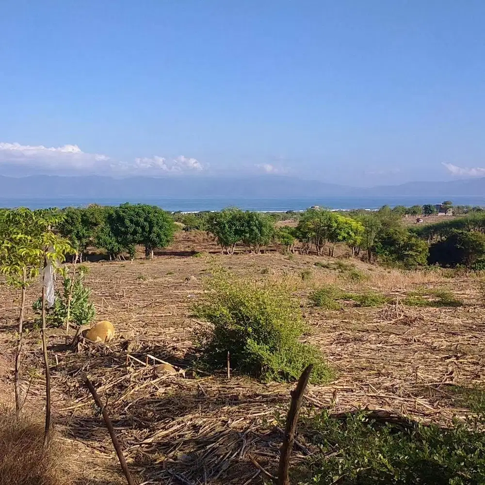 DIJUAL TANAH AREA TAMBANG EMAS & PANTAI LAKEY DOMPU NTB