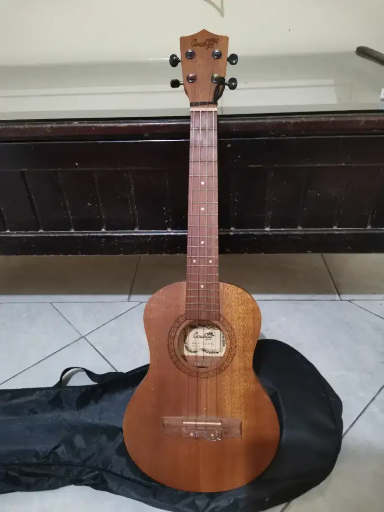 Ukulele cowboy second