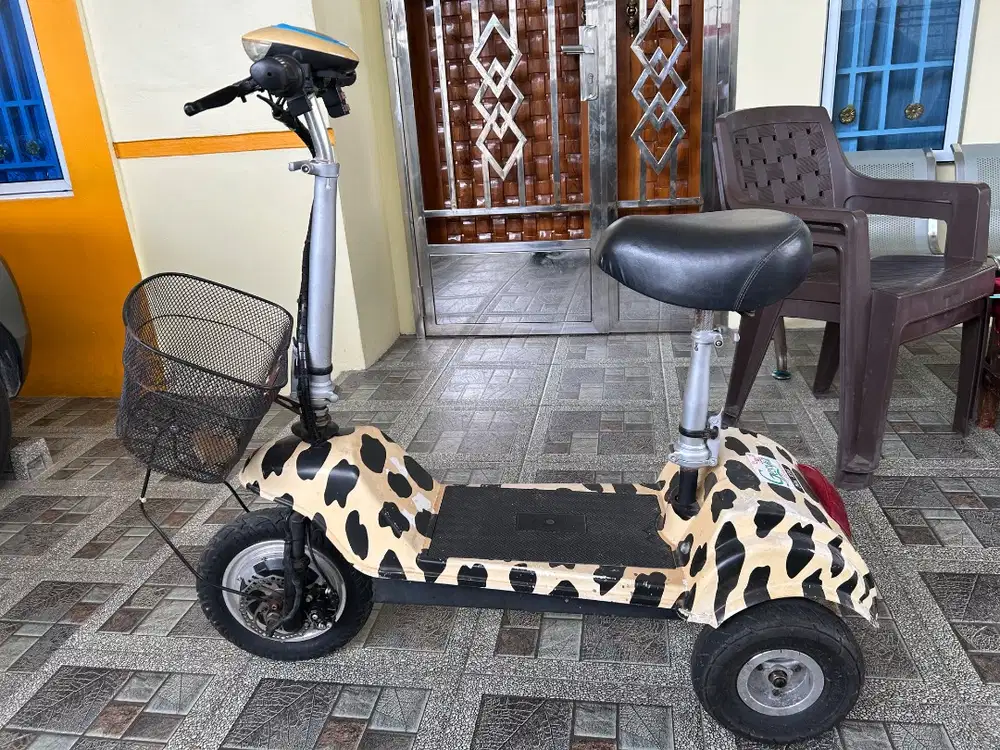 Sepeda Listrik “magnum”