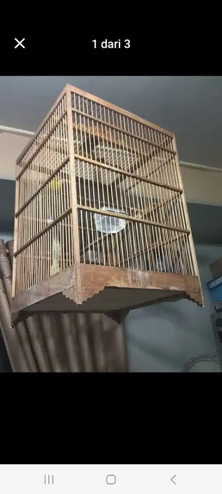 Sangkar kotak isinya macet Cannary AF