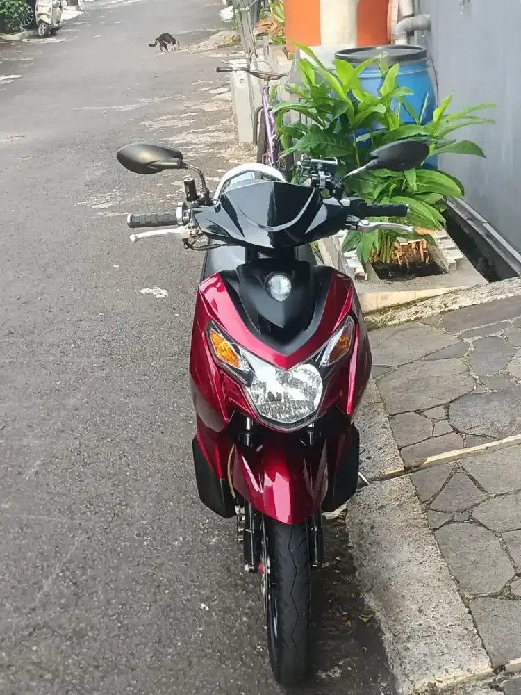 yamaha nouvo z vietkong
