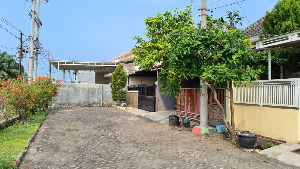 Disewakan Rumah Nyaman dan Sejuk untuk Keluarga