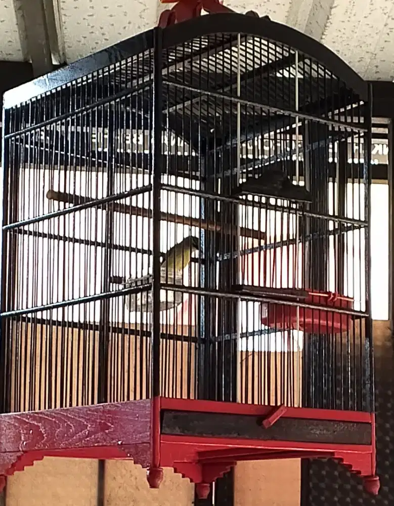 DIJUAL Kandang no.1 ex  kacer/kenari/ijo/jalak/ cak jengot