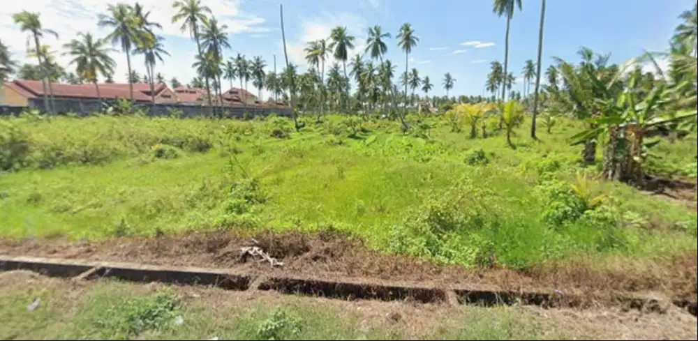 DIJUAL LAHAN STRATEGIS DEKAT LAUT – EX KEBUN KELAPA, POTENSI PERUMAHAN