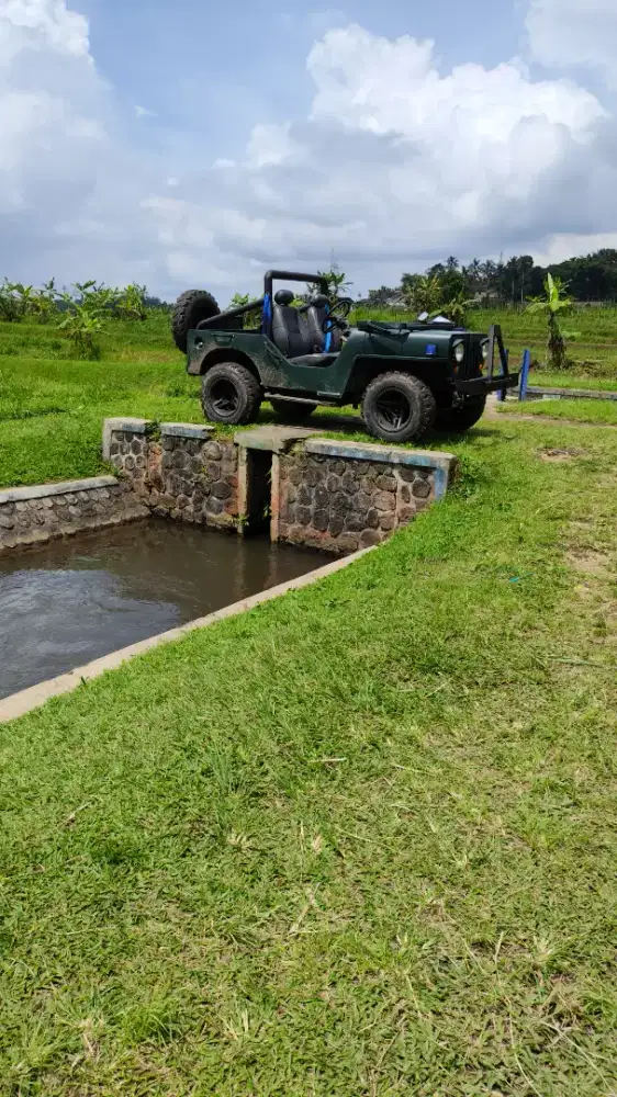 Willys basic katana macak pak camat