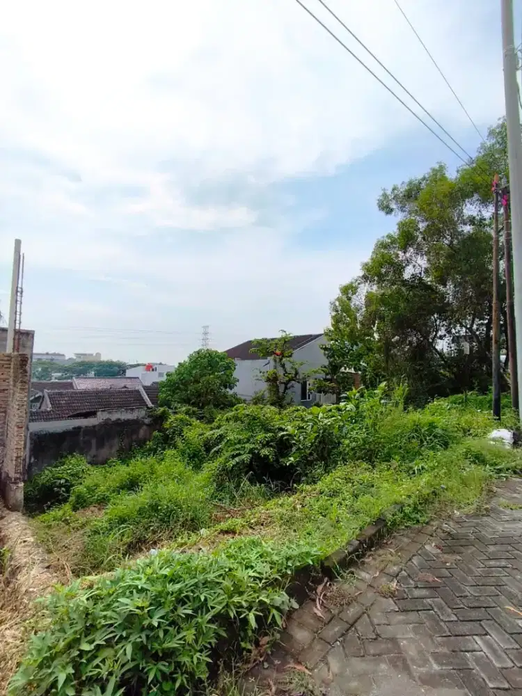 Kavling Alamanda Sambiroto Dibawah NJOP dekat Citragrand UNDIP UNIMUS