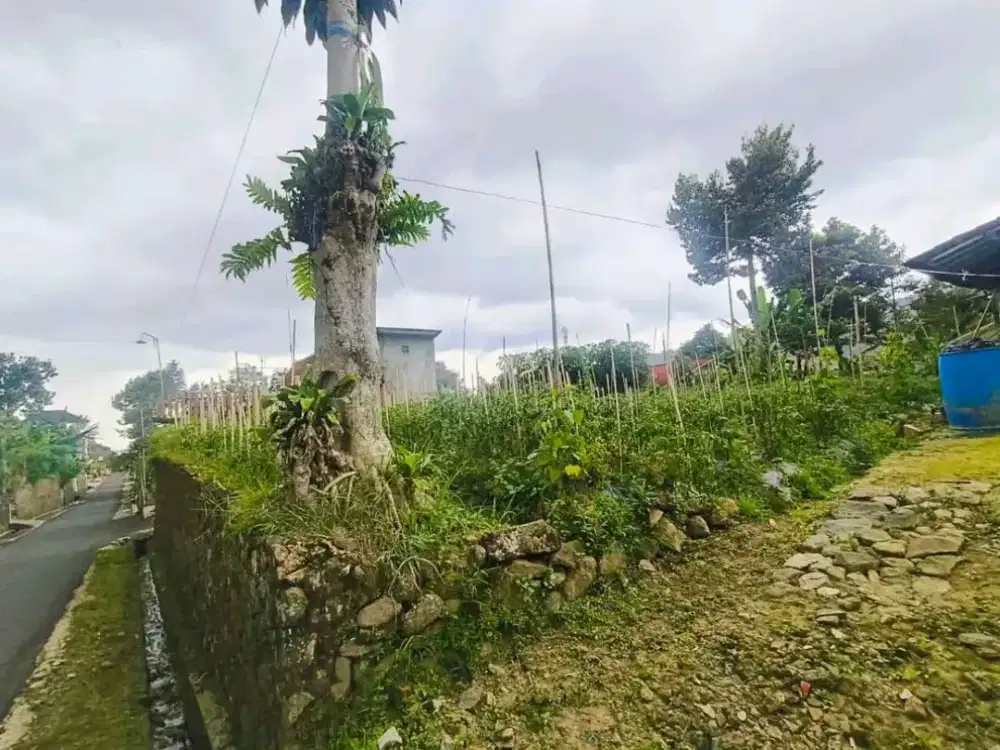 Dijual Tanah Pekarangan di Kemuning Ngargoyoso