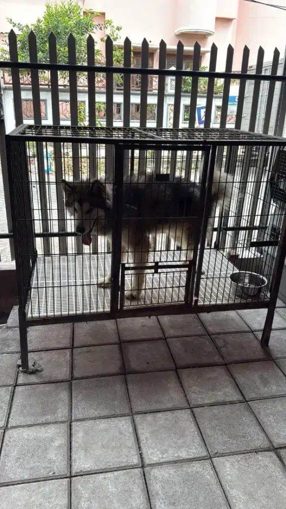 Bismillah Dijual Cepat Kandang Anjing Ukuran Sedang Mur mer aja