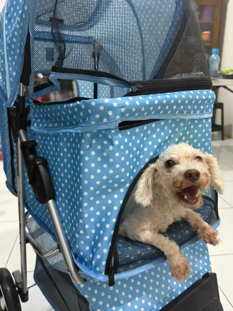 Stroller Biru Polkadot Pet