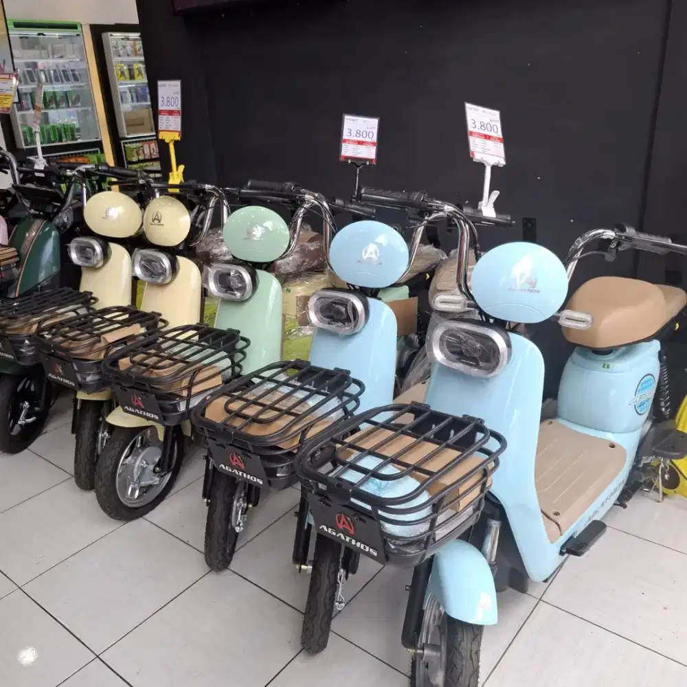 Sepeda listrik AGATHOS AE350GR