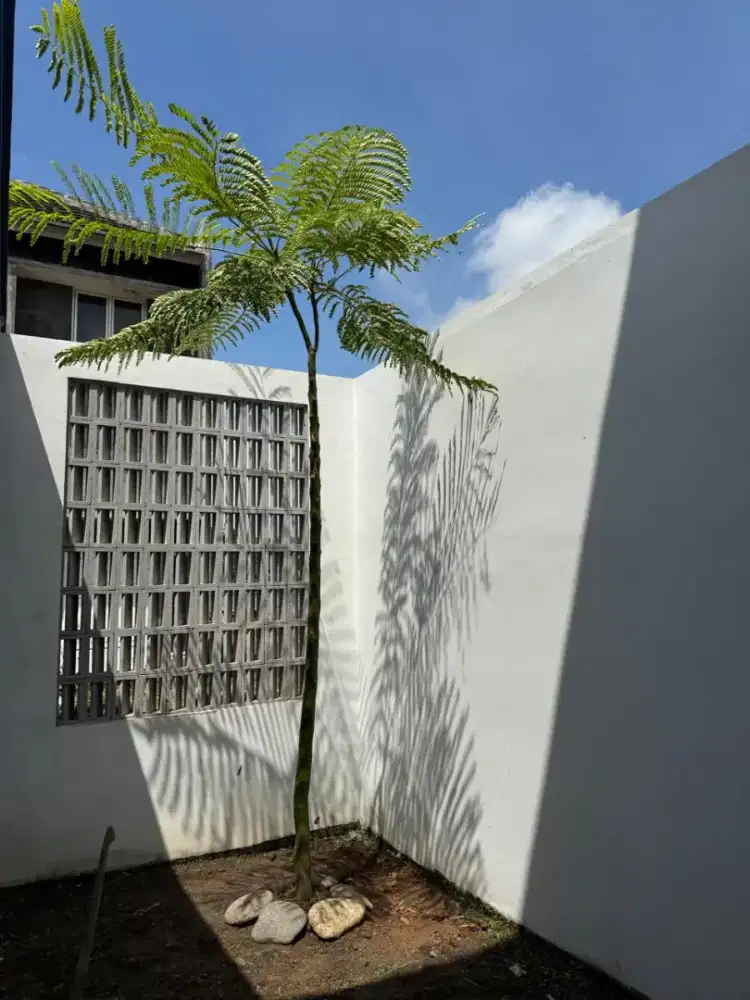 Rumah di jual di Ngaliyan