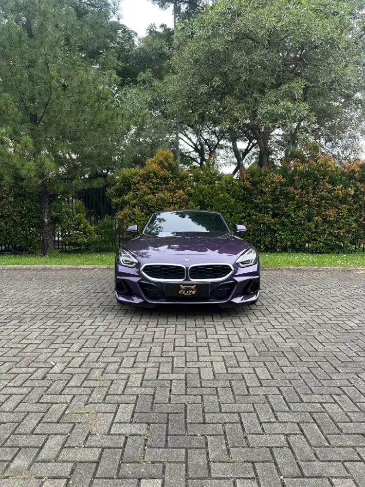 BMW Z4 sDrive30i AT 2023