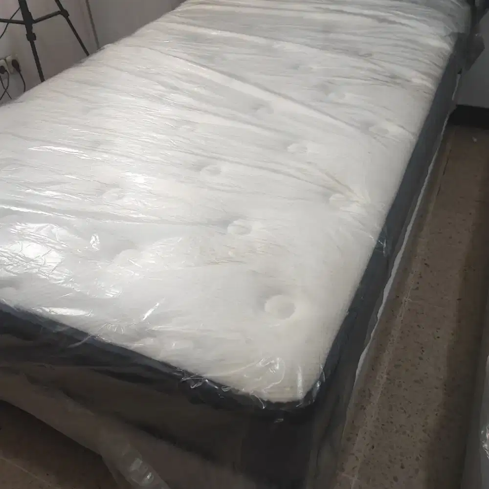 Di butuhkan segera live streaming