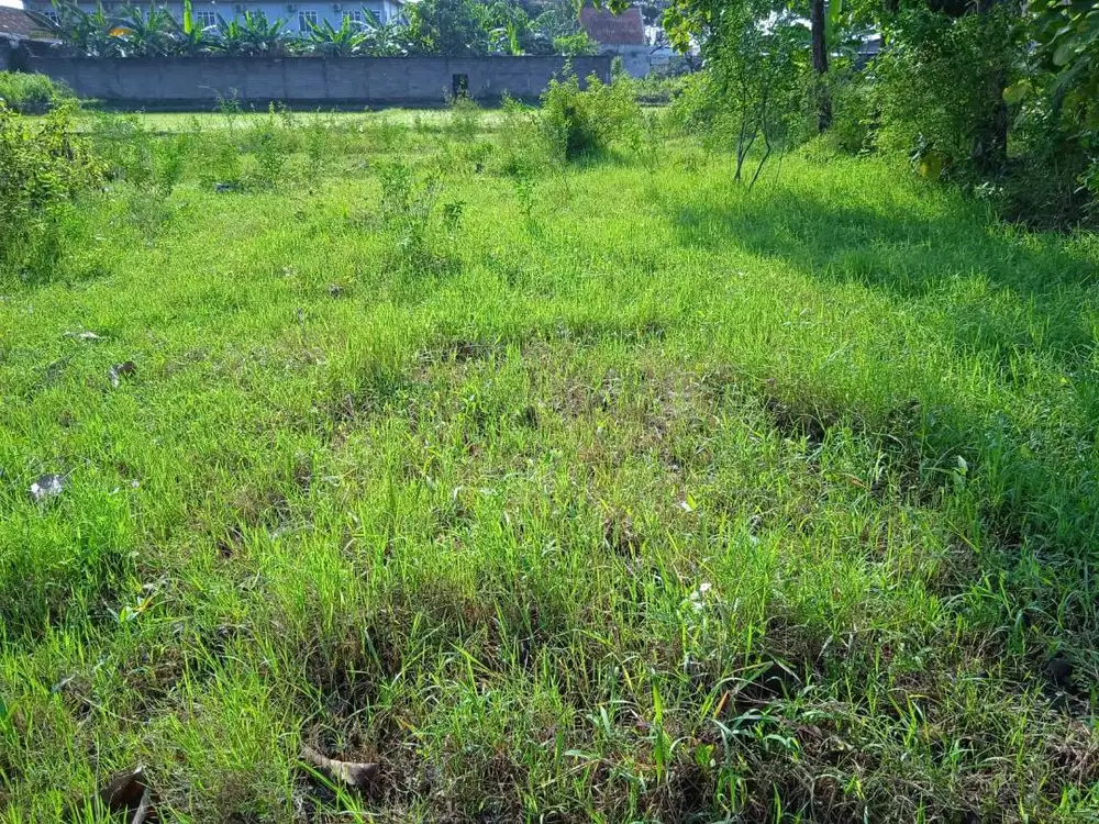 Dijual Tanah Ngijo, Tasikmadu Karanganyar