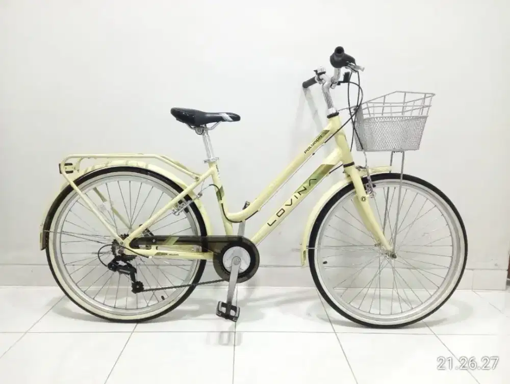 sepeda keranjang Polygon lovina ctb