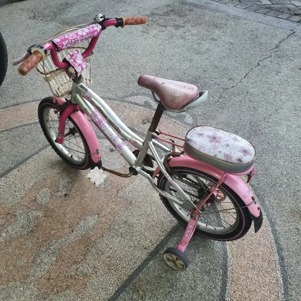 JUAL SEPEDA ANAK PEREMPUAN WARNA PINK