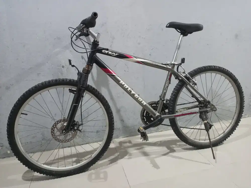 SEPEDA VINTAGE POLYGON ENVY