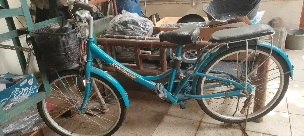 Jual sepeda utk ibu ibu