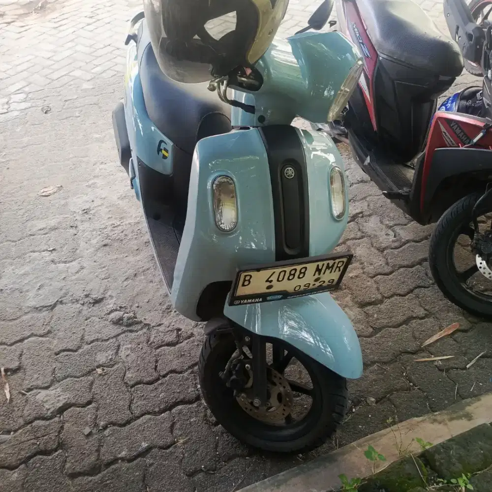 Fazio 2024 warna biru .