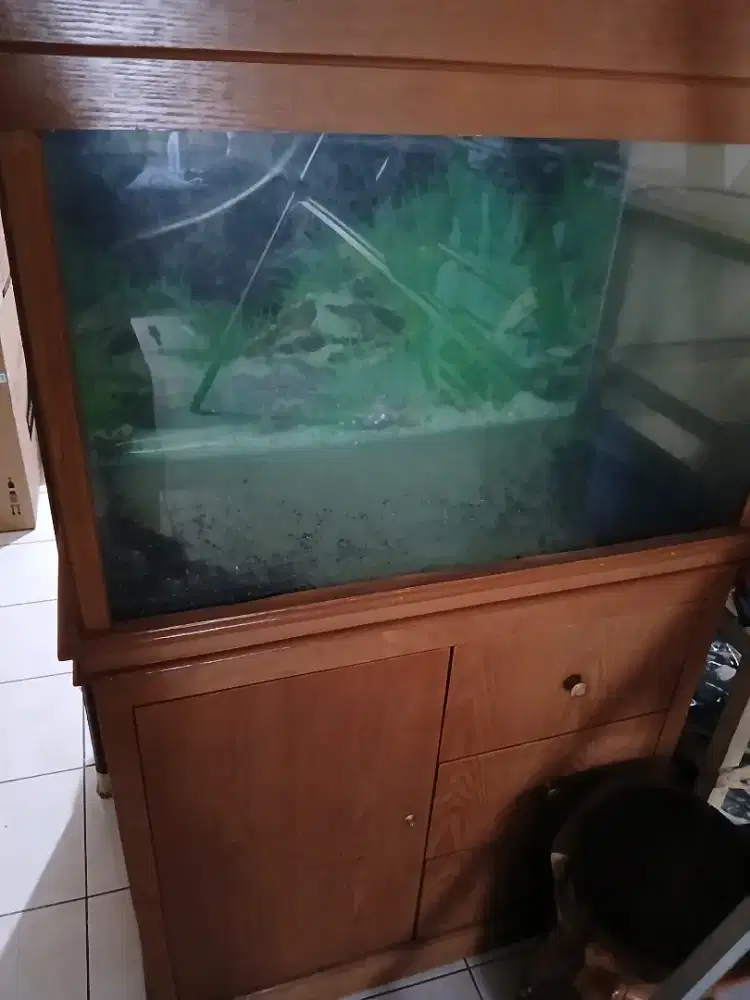 Aquarium beserta lemari bawah satu set
