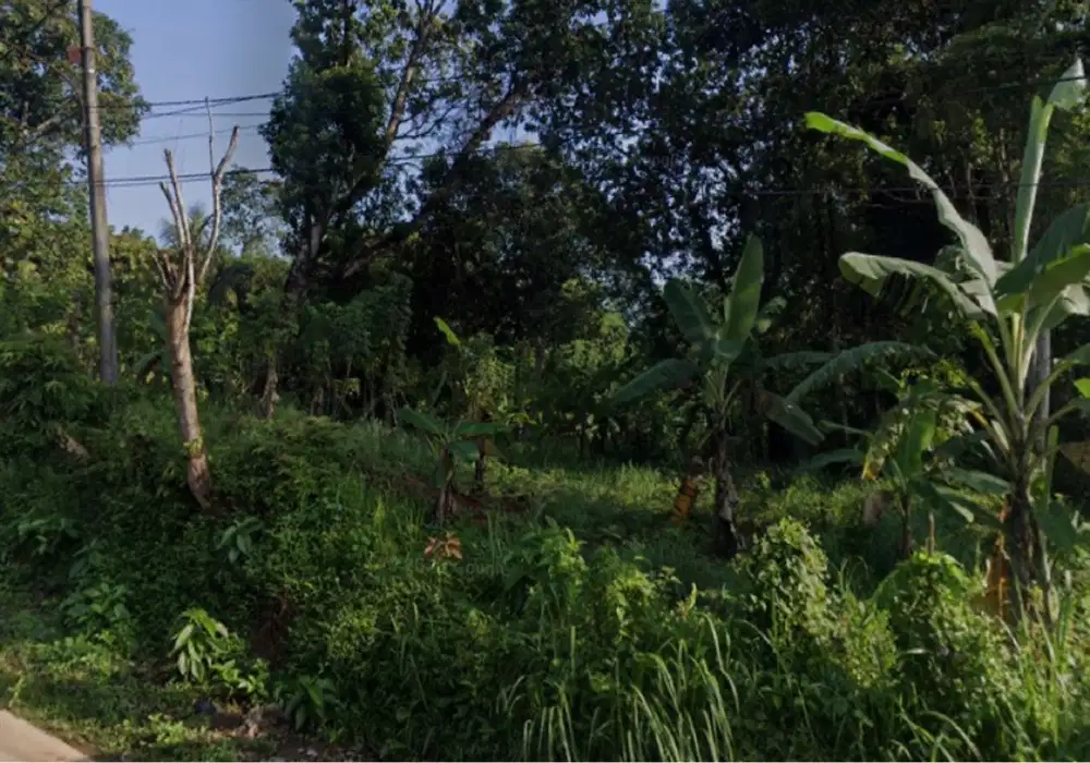 Jual Cepat Tanah Tenjo Pinggir Jalan Strategis Kab. Bogor