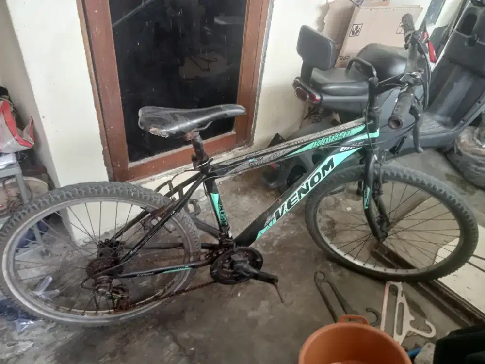 Sepeda gunung federal