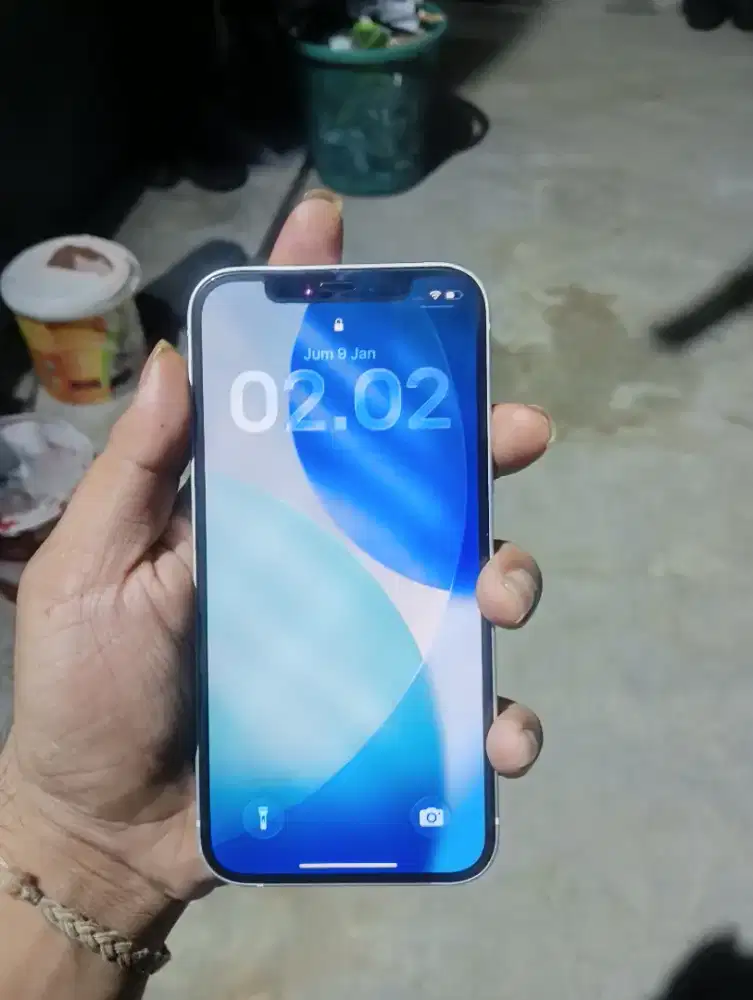 iphone 12 256gb beacukai