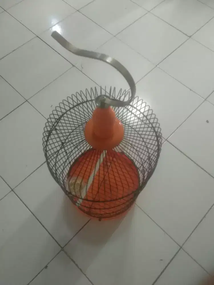 Kandang burung ukuran sedang