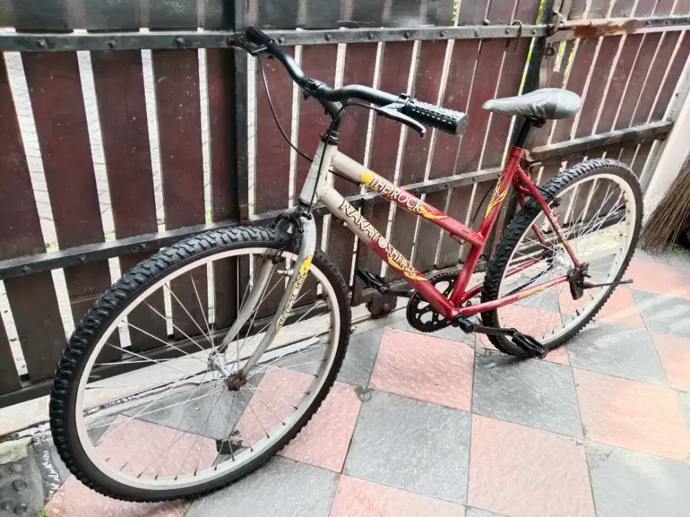 Sepeda gunung warna merah silver