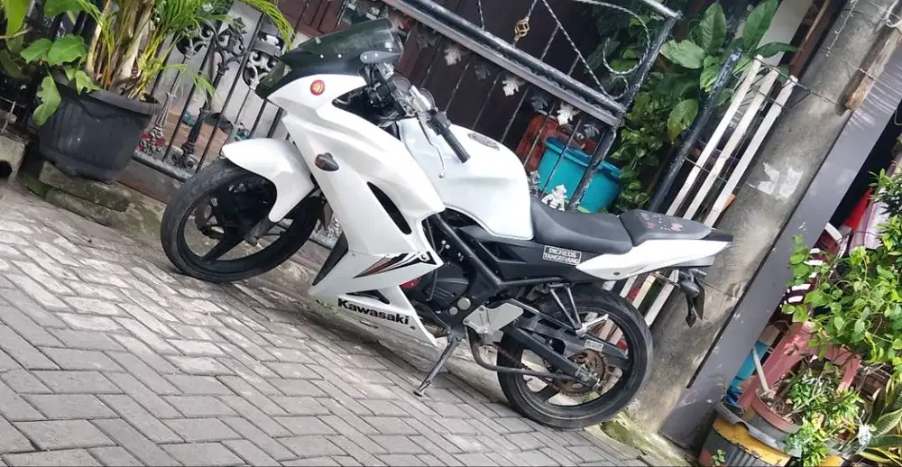 Kawasaki Ninja rr 150 2013