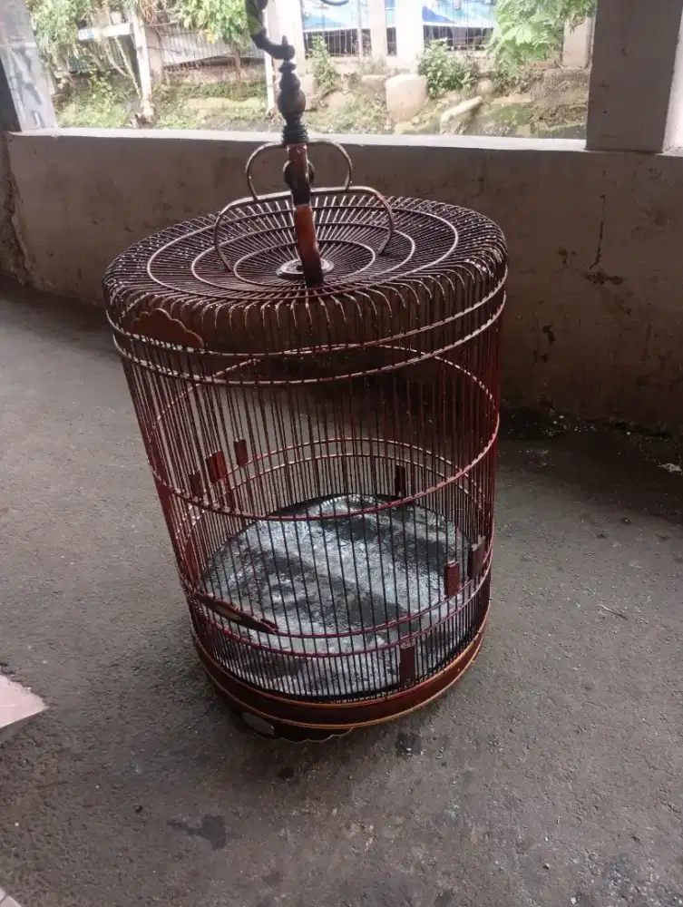 Kandang murai  rafi jaya nmr 3